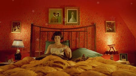 Die fabelhafte Welt der Amelie