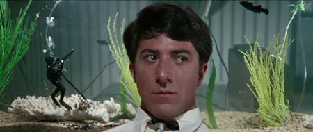 The Graduate