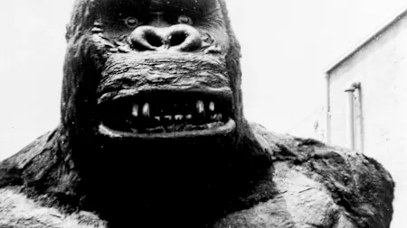 King Kong