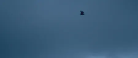 sich langsam nähern