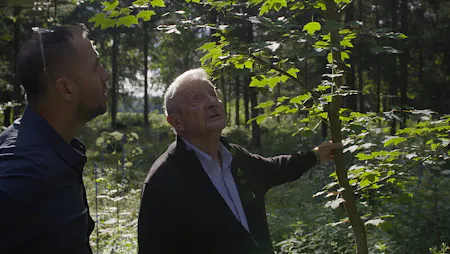 Nur der Wald ist geblieben