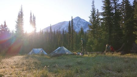 25/P10: Local Heroes