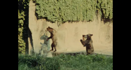 art+film+vienna UNLEARNING NORMS
