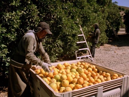 Programm Nora Sweeney