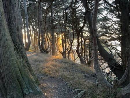 Programm 3: All Ends Vanishing / Ghosts Gone Wild