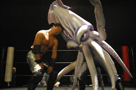 THE CALAMARI WRESTLER