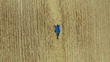 Toxic Harvest