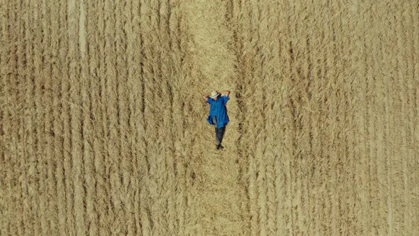 Toxic Harvest
