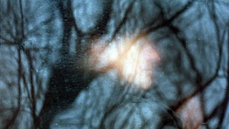 Early Works (Blokada / Paysage)