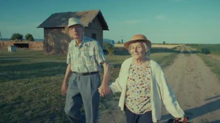 Eighty Plus (Restitucija, ili, San i java stare garde)