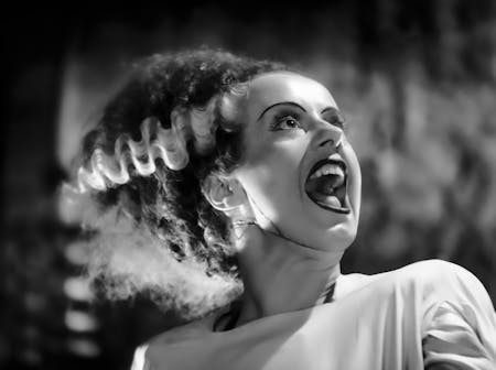 The Bride of Frankenstein