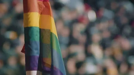 The Viennese Sport Club