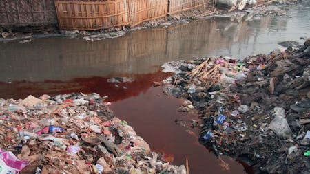 Riverblue –Stricken im Kino mit Greenpeace