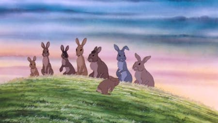 WATERSHIP DOWN