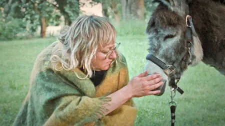 Donkey Days