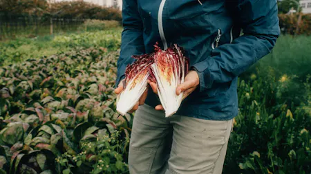 TiAN – Generation Farmfluencer