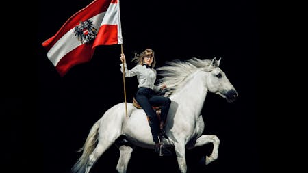 Noch lange keine Lipizzaner